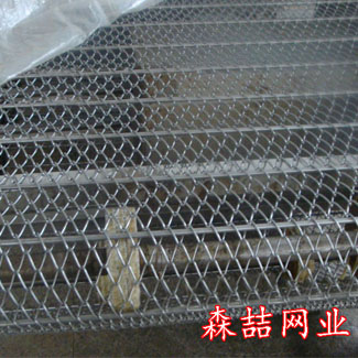 鏈板式網帶就像外來物種入侵普通網帶